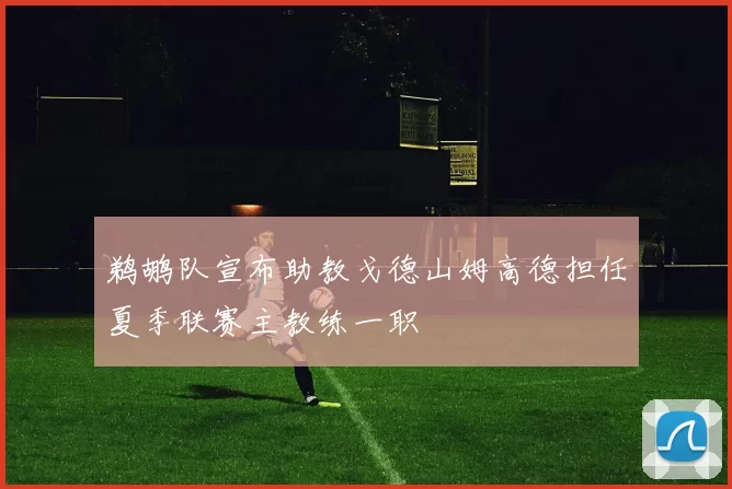 鹈鹕队宣布助教戈德山姆高德担任夏季联赛主教练一职