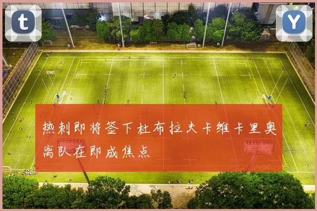热刺即将签下杜布拉夫卡维卡里奥离队在即成焦点