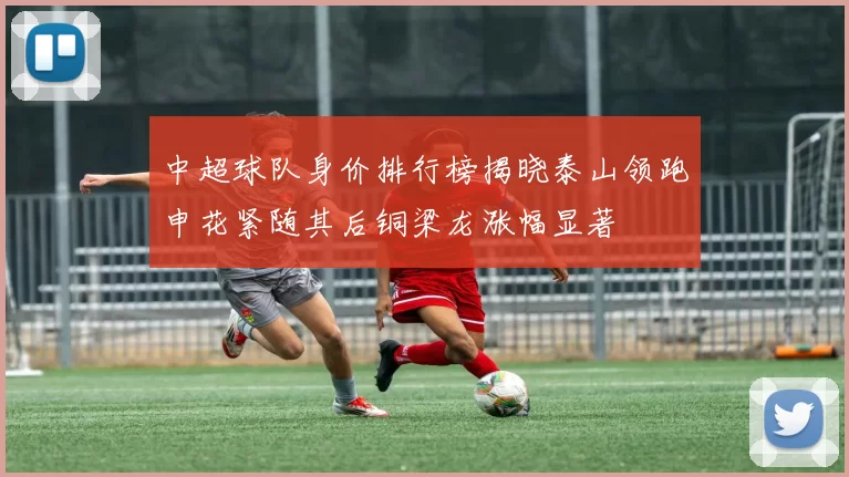 中超球队身价排行榜揭晓泰山领跑申花紧随其后铜梁龙涨幅显著
